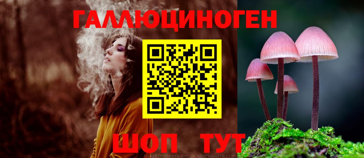 Псилоцибиновые грибы GOLDEN TEACHER  Вход с VPN  где продают   Галлюциногенные грибы мухоморы  Иваново 